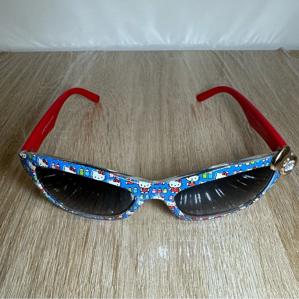 Hello Kitty Sanrio Sunglasses with Nerd-Themed Case